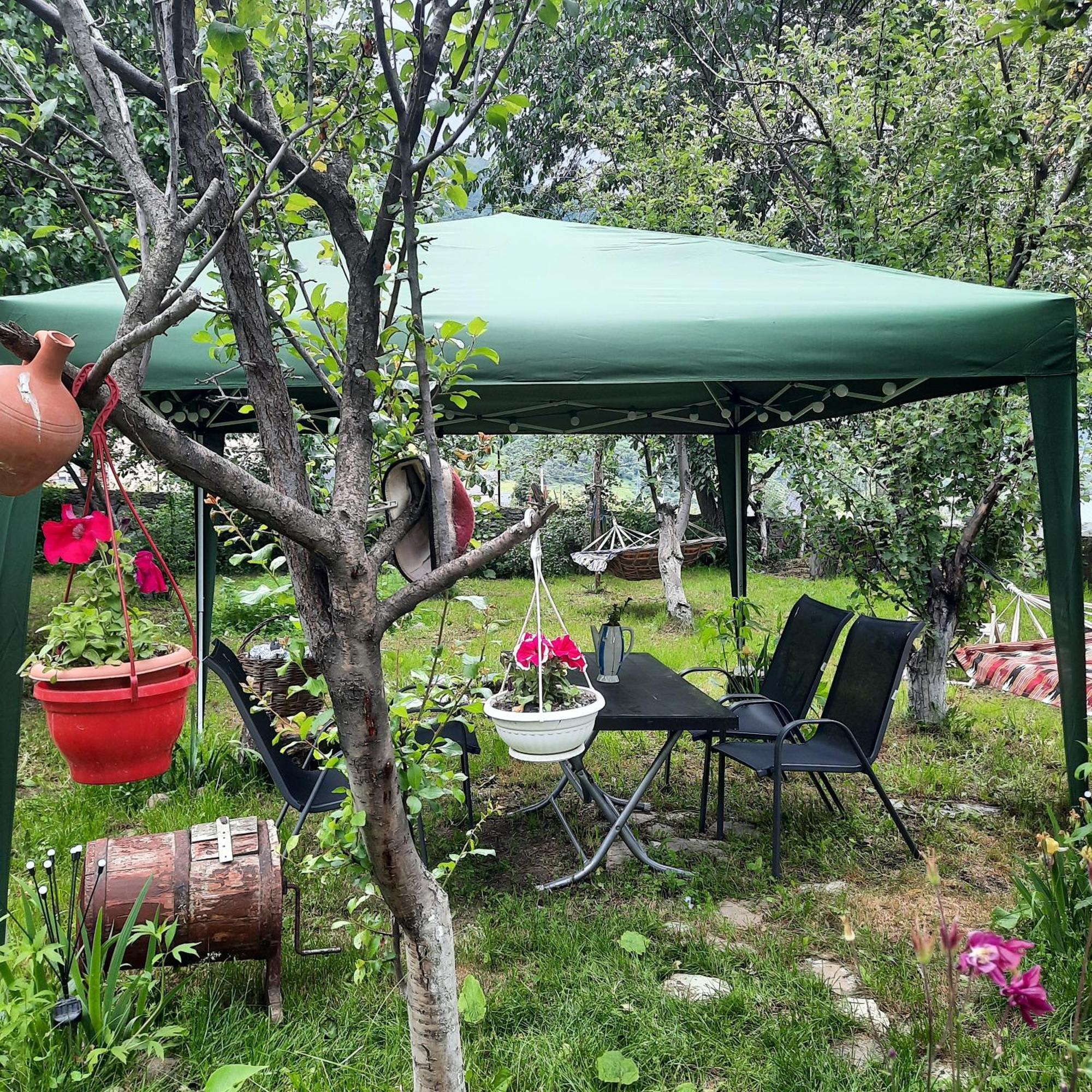 Gio-Nika Hotel Kazbegi Ngoại thất bức ảnh
