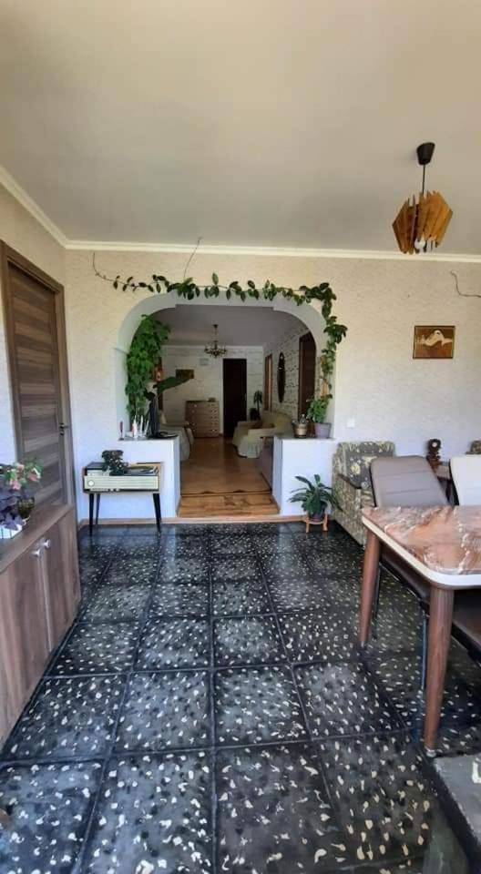 Gio-Nika Hotel Kazbegi Ngoại thất bức ảnh