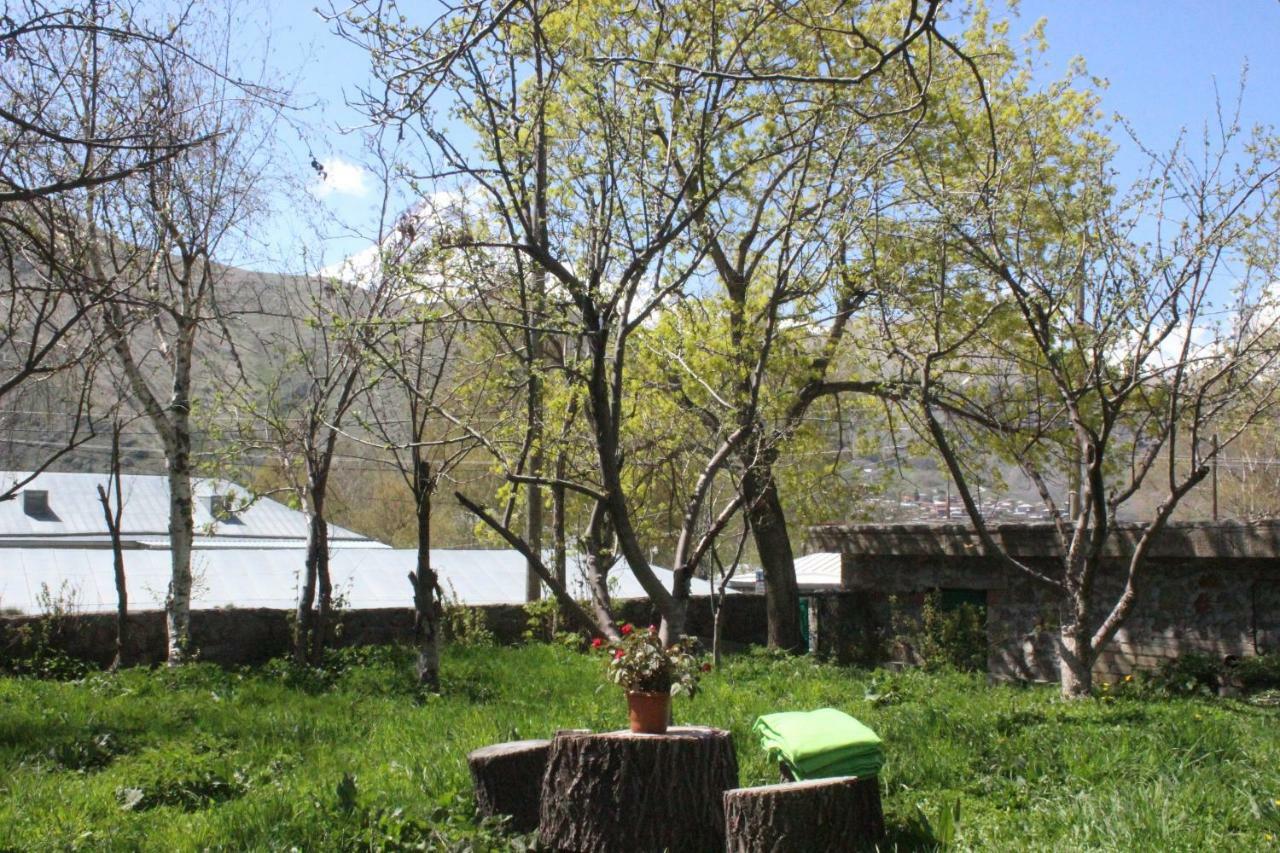 Gio-Nika Hotel Kazbegi Ngoại thất bức ảnh