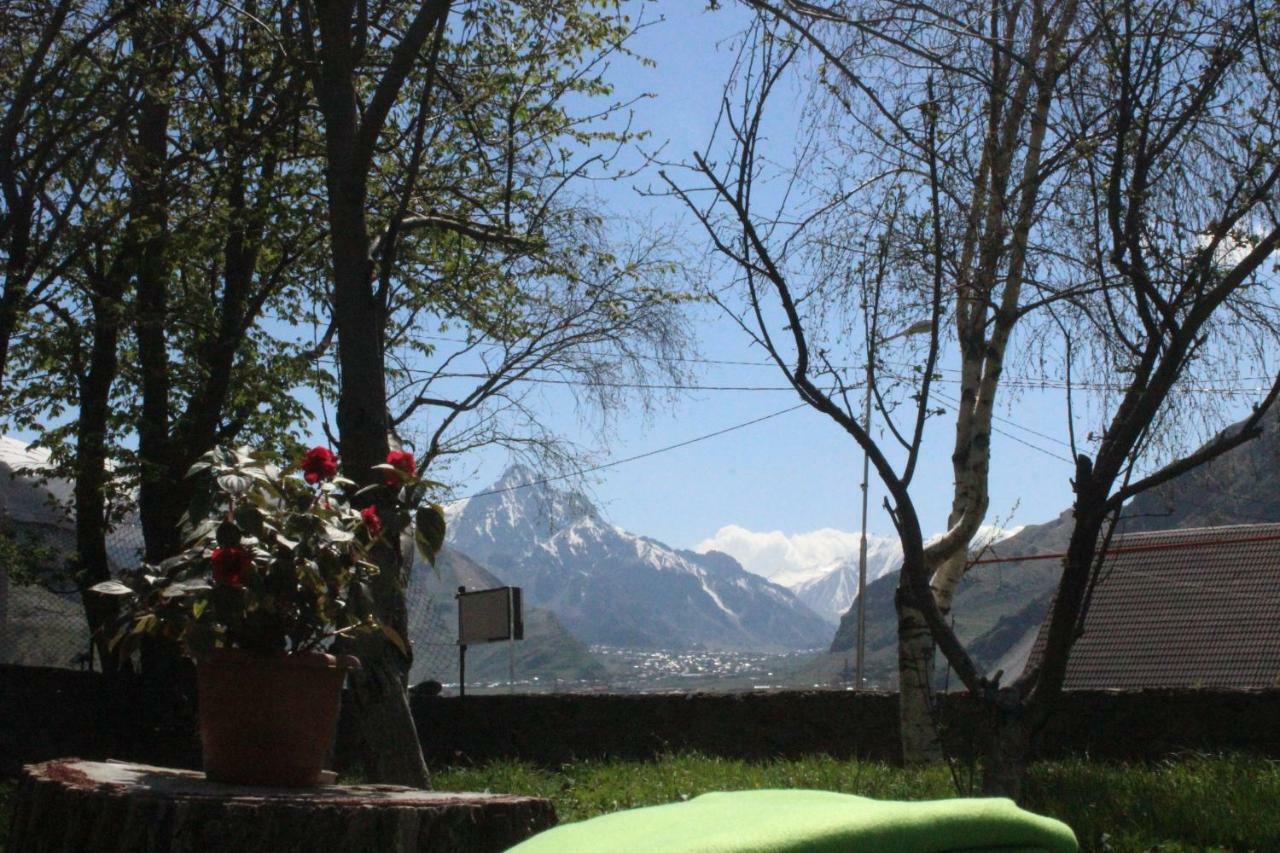 Gio-Nika Hotel Kazbegi Ngoại thất bức ảnh